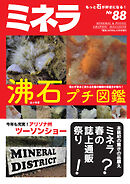 ミネラ（MINERA） No.88