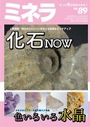 ミネラ（MINERA） No.89