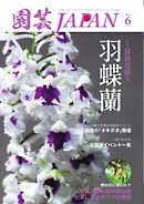 園芸Japan 2025年6月号