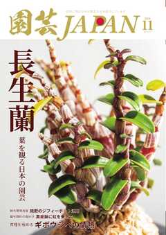 園芸Japan 2026年11月号