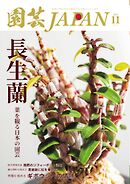 園芸Japan 2026年11月号