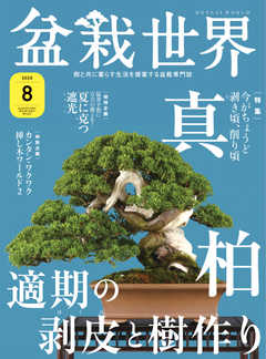 盆栽世界 2020年8月号