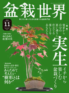 盆栽世界 2020年11月号