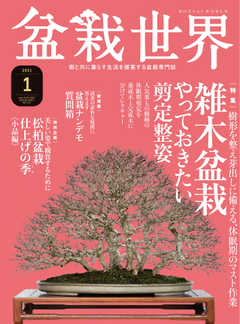 盆栽世界 2021年1月号