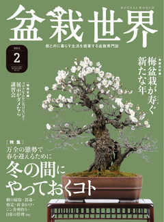 盆栽世界 2021年2月号