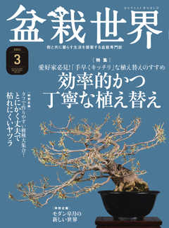 盆栽世界 2021年3月号