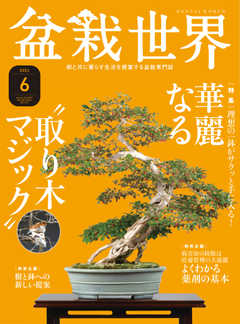盆栽世界 2021年6月号