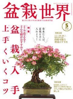 盆栽世界 2022年5月号