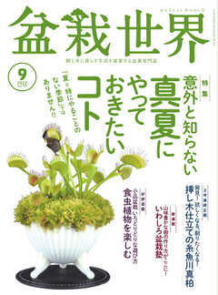 盆栽世界 2022年9月号