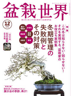 盆栽世界 2022年12月号
