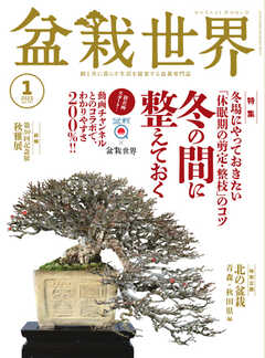 盆栽世界 2023年1月号