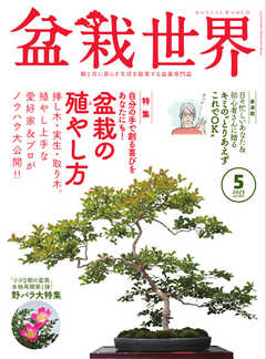 盆栽世界 2023年5月号