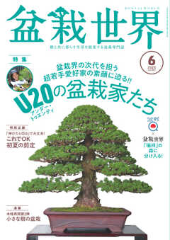 盆栽世界 2023年6月号