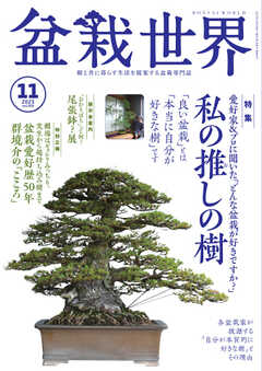 盆栽世界 2023年11月号
