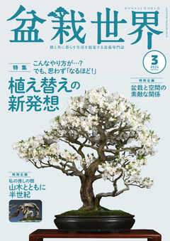 盆栽世界 2024年3月号