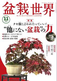 盆栽世界 2024年11月号