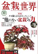 盆栽世界 2024年11月号