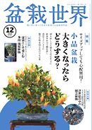 盆栽世界 2024年12月号
