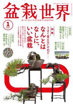 盆栽世界 2025年1月号
