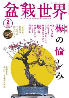 盆栽世界 2025年2月号