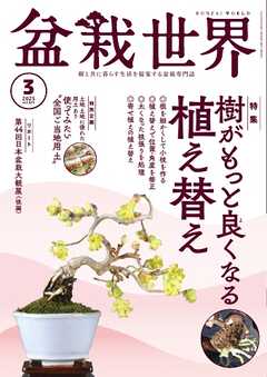 盆栽世界 2025年3月号
