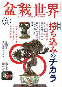 盆栽世界 2025年4月号