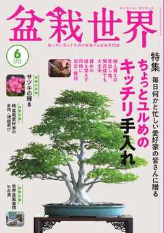 盆栽世界 2025年6月号