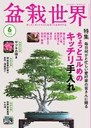 盆栽世界 2025年6月号