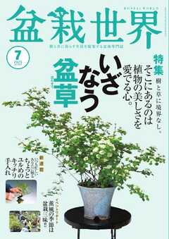 盆栽世界 2025年7月号