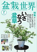 盆栽世界 2025年7月号