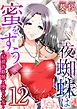 夜蜘蛛は蜜をすう～結婚詐欺師と堕ちる女～ 12巻