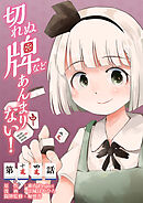 東方Project二次創作シリーズ　切れぬ牌などあんまりない！【第14話】