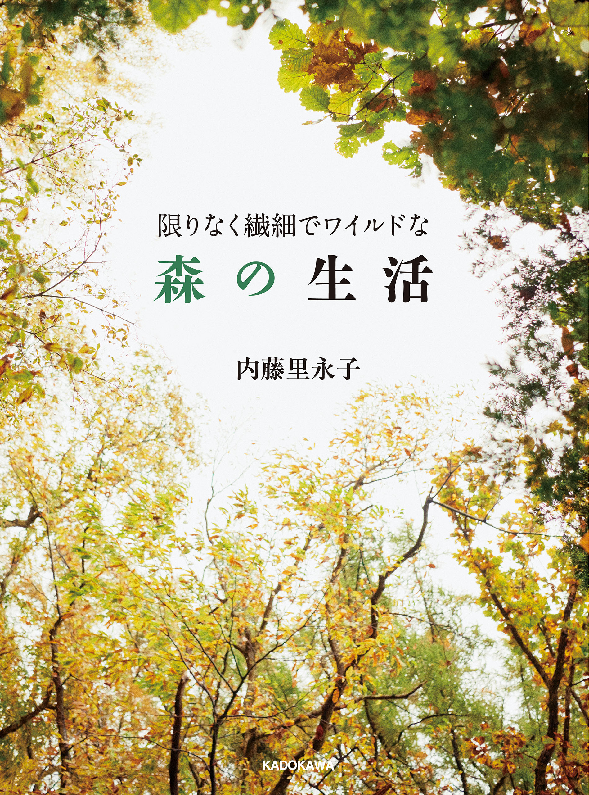 限りなく繊細でワイルドな森の生活 内藤里永子 漫画 無料試し読みなら 電子書籍ストア ブックライブ