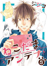 ねこだまアンテナ