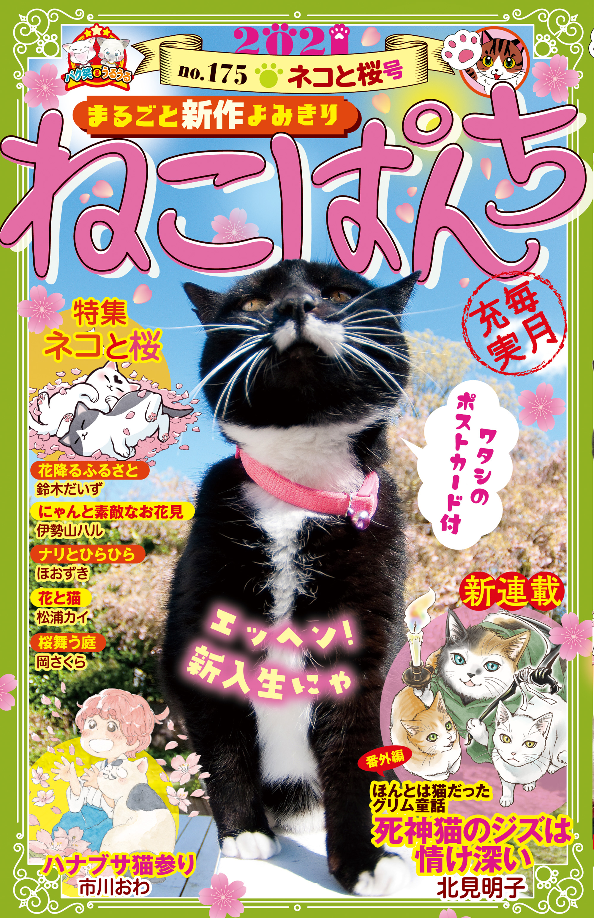 ねこぱんち No 175 ネコと桜号 漫画 無料試し読みなら 電子書籍ストア ブックライブ