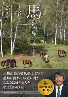 馬を巡る旅 ～旅の終わりに～