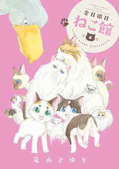 金目銀目ねこ館 6