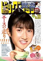 ビッグコミック