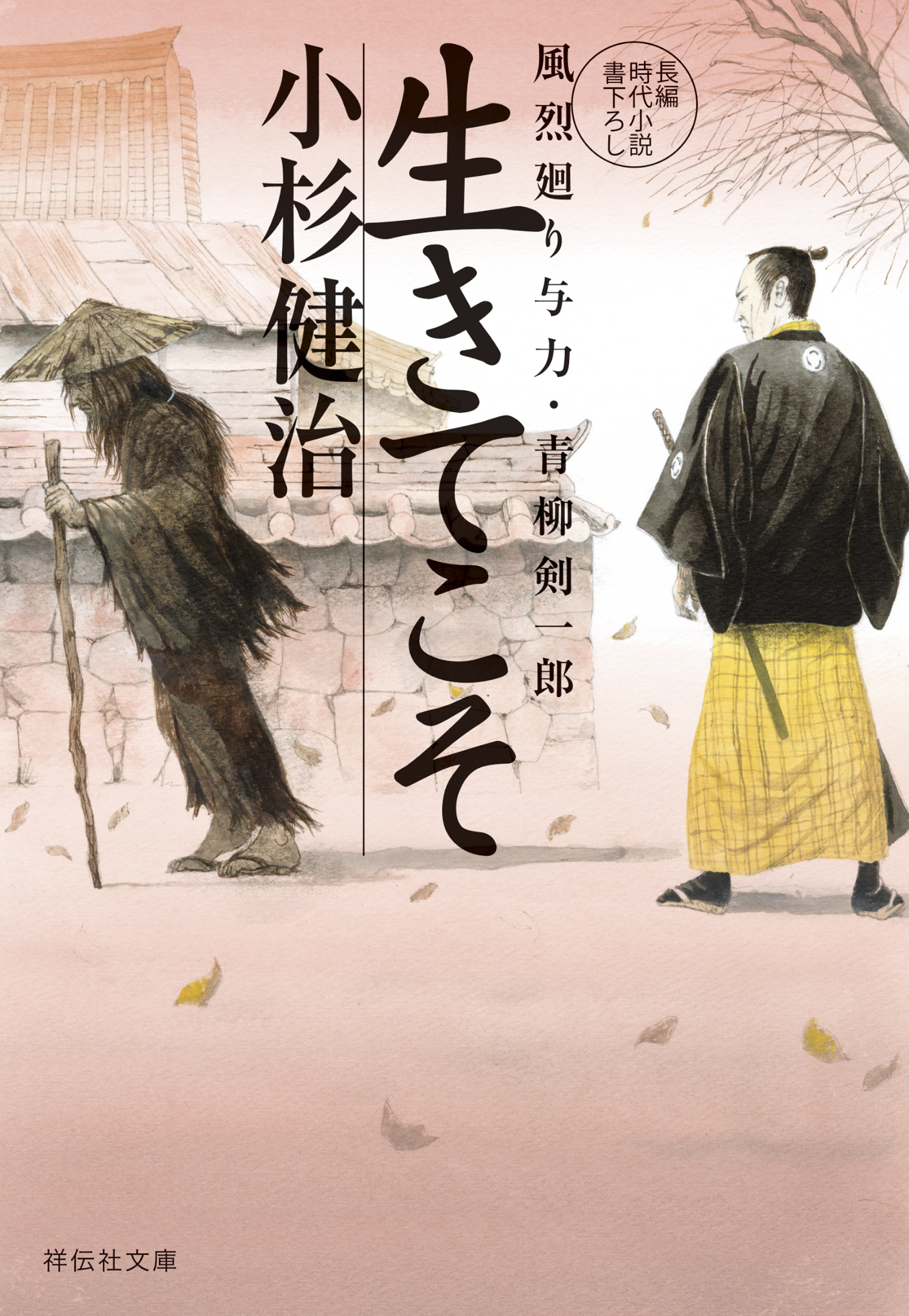 風烈廻り与力シリーズ・青柳剣一郎 最新刊 小杉健治 - 文学/小説