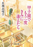 甲子園でもう一度きみに逢えたら