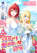寝取り魔法使いの冒険(15)