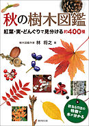 秋の樹木図鑑　紅葉・実・どんぐりで見分ける約400種