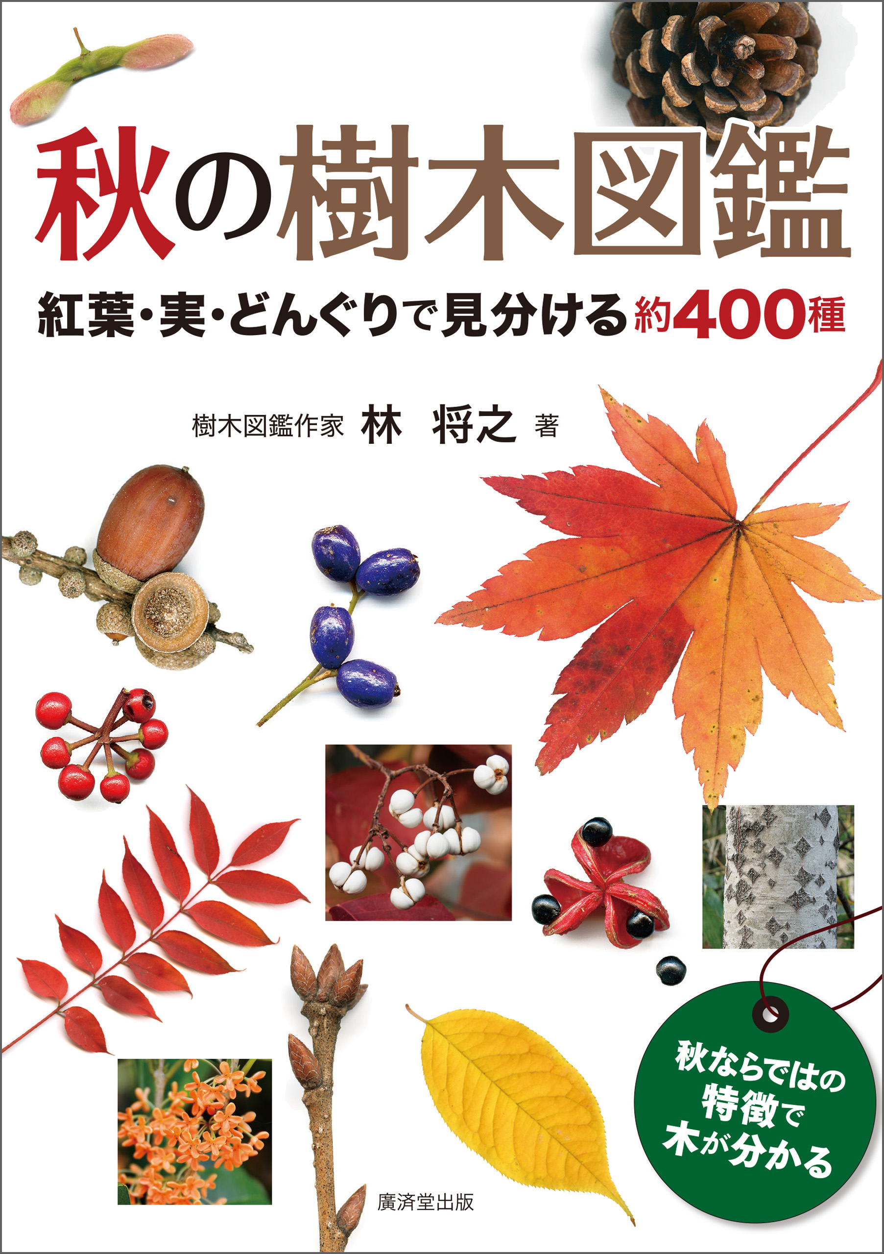 秋の樹木図鑑 紅葉 実 どんぐりで見分ける約400種 漫画 無料試し読みなら 電子書籍ストア ブックライブ
