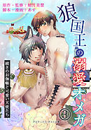 狼国王の溺愛オメガ 三巻　～続きのお伽噺と可愛い天使たち～