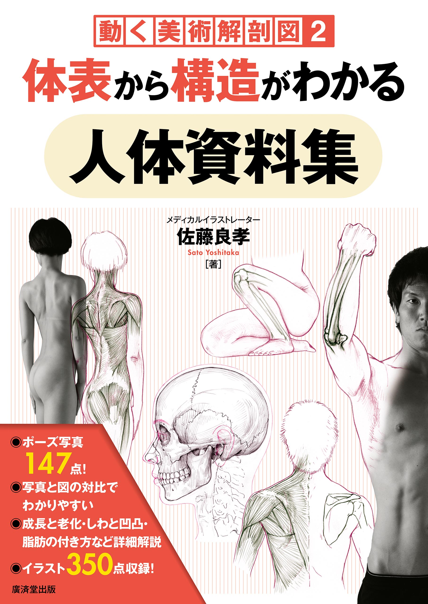 体表から構造がわかる人体資料集 動く美術解剖図2（最新刊） - 佐藤