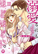 溺愛するのもほどほどに。激あま愛撫で何度もイかせて【コミックス版】【コミックス版限定特典付き】 3巻