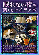 【眠れない夜を楽しむアイデア本】