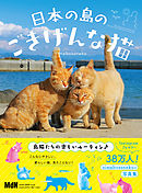 日本の島のごきげんな猫