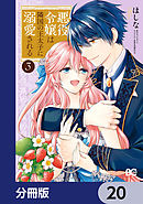 悪役令嬢は隣国の王太子に溺愛される【分冊版】　20