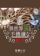 異世界猫と不機嫌な魔女【単話】 12